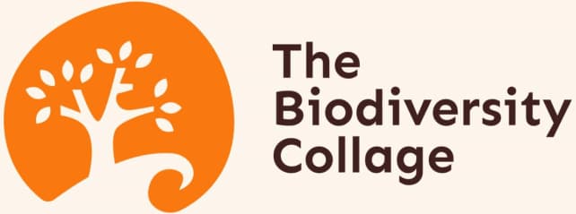 The Biodiversity Collage